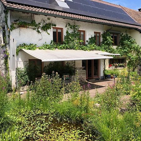 Ferienhaus Mit Naturgarten Dachsen Bagian luar foto
