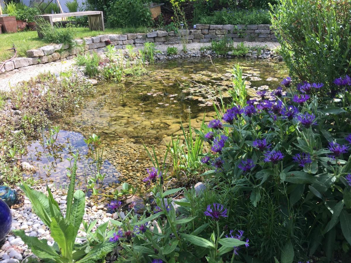 Ferienhaus Mit Naturgarten Dachsen Bagian luar foto