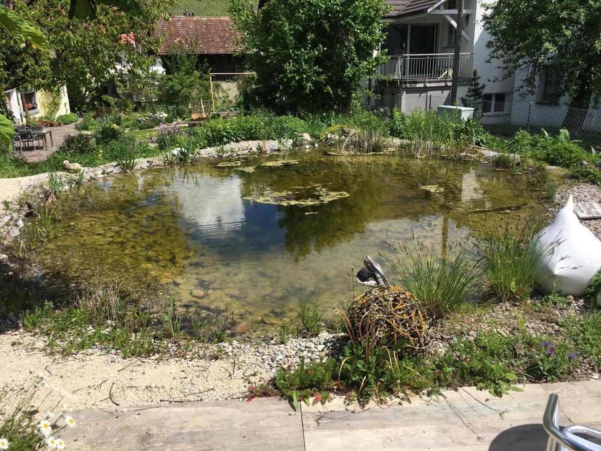 Ferienhaus Mit Naturgarten Dachsen Bagian luar foto